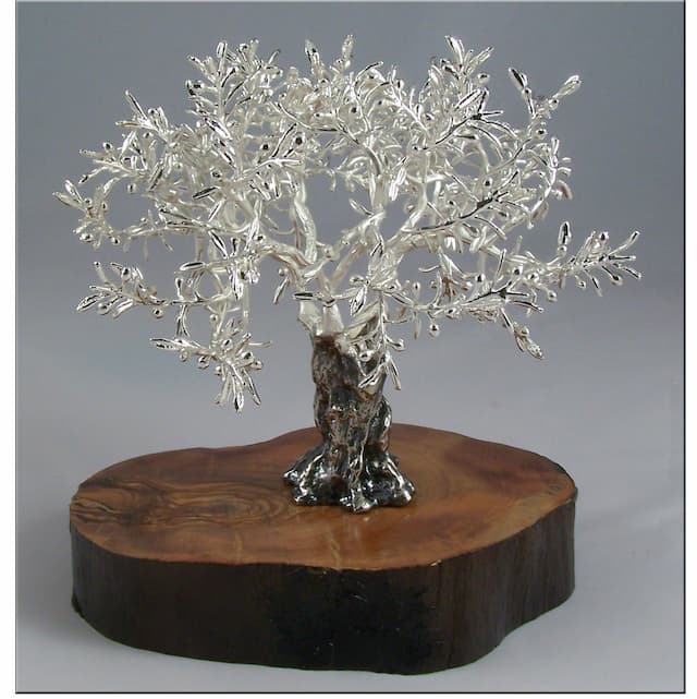 Imagen del productoOLIVO PLATEADO 14X15