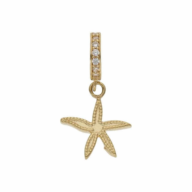 Imagen del productoCHARMS COLGANTE ORO 18KL ESTRELLA